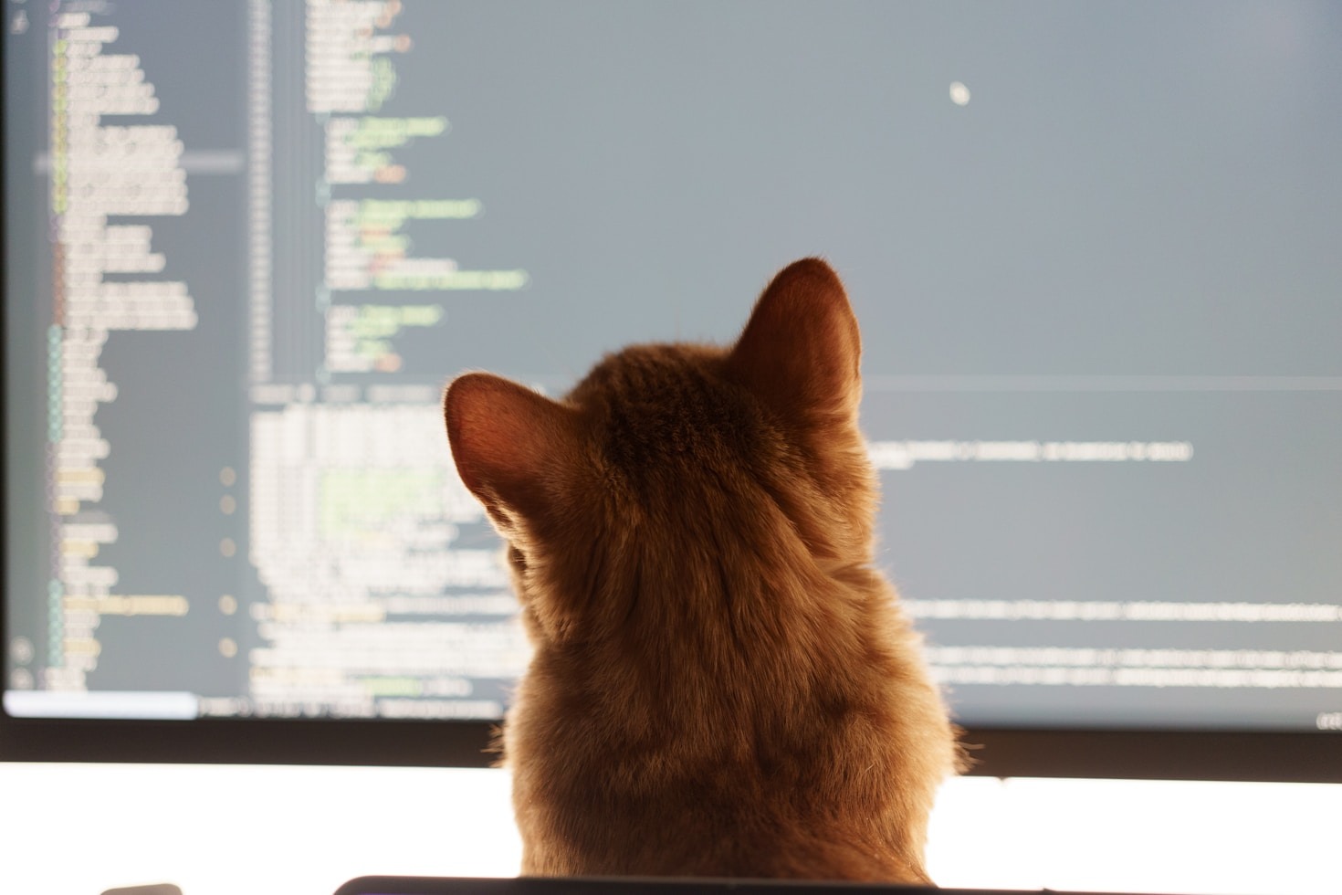 HTML for Laughs: Coding at Its Funniest